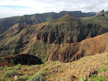 Unique depuis la période glaciaire : flore du tertiaire sur La Gomera