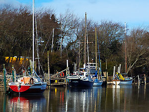 View up the Creek - Suntrap's Home