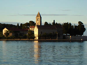 Vis