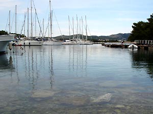 Palmizana marina